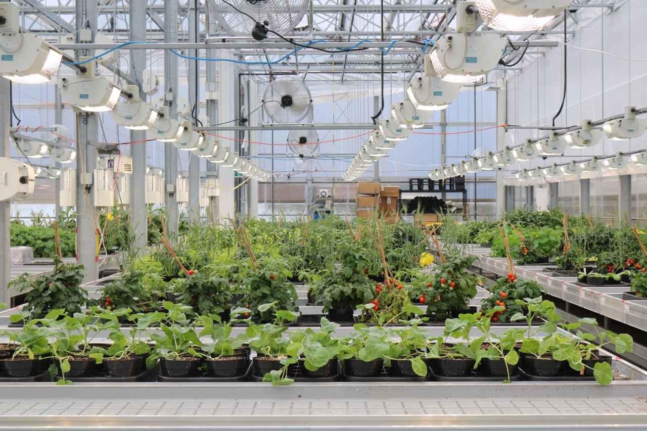 太陽光発電灌漑システム