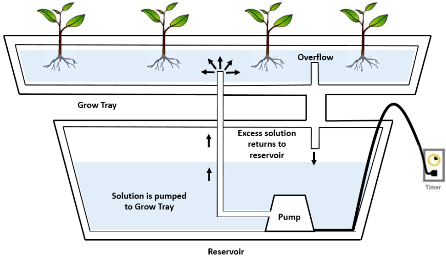 Hydroponics type Vertical Farm