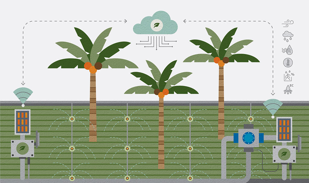 Cultivation in self-standing containers, automatic harvesting by robots