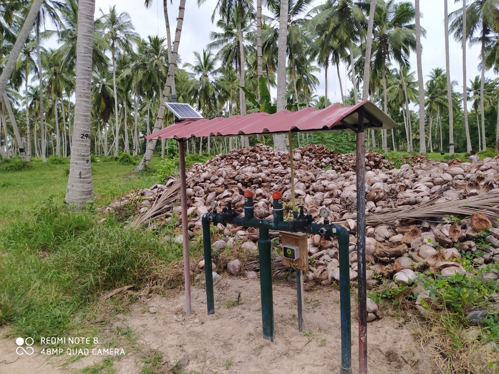 Produce the Sweetest Toddy with SenzAgro’s Precision Irrigation