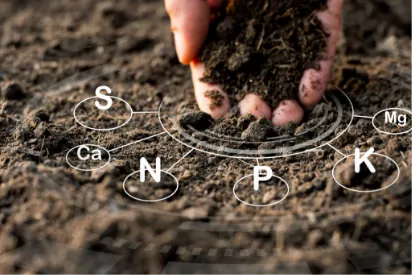 Real-time soil analysis visualization
