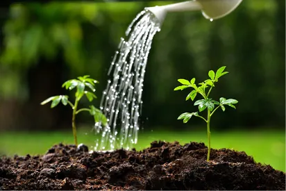 Irrigation optimization illustration