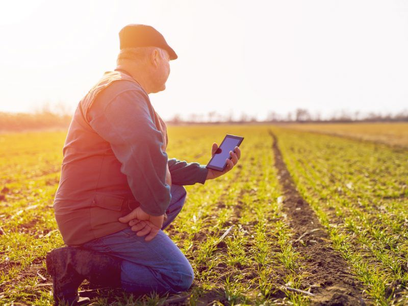 Farmer using Smart farming