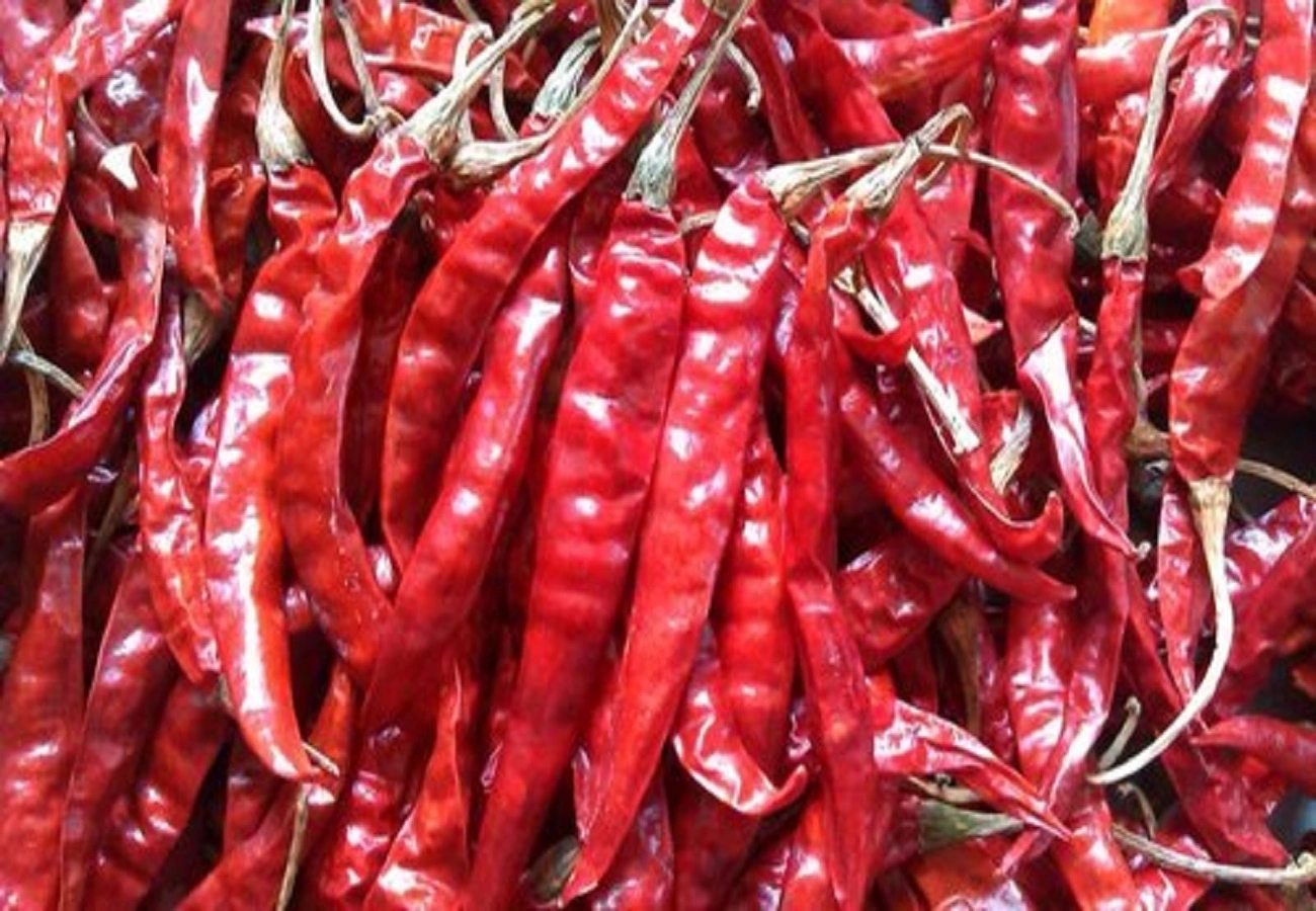 Lavangi Red Chilli