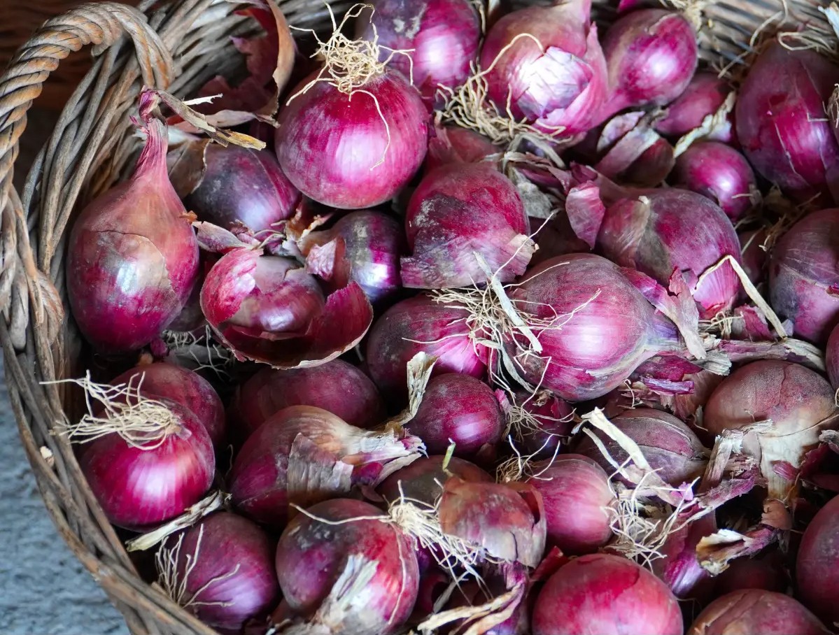 Red Onion